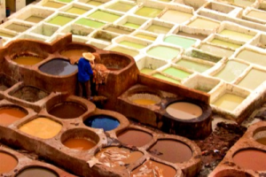 Fes Tannery